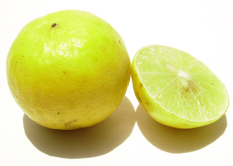 citrom egészségügyi előnyei