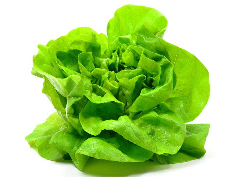 Bedste fordele ved salatblade til hud, hår og amp; Sundhed