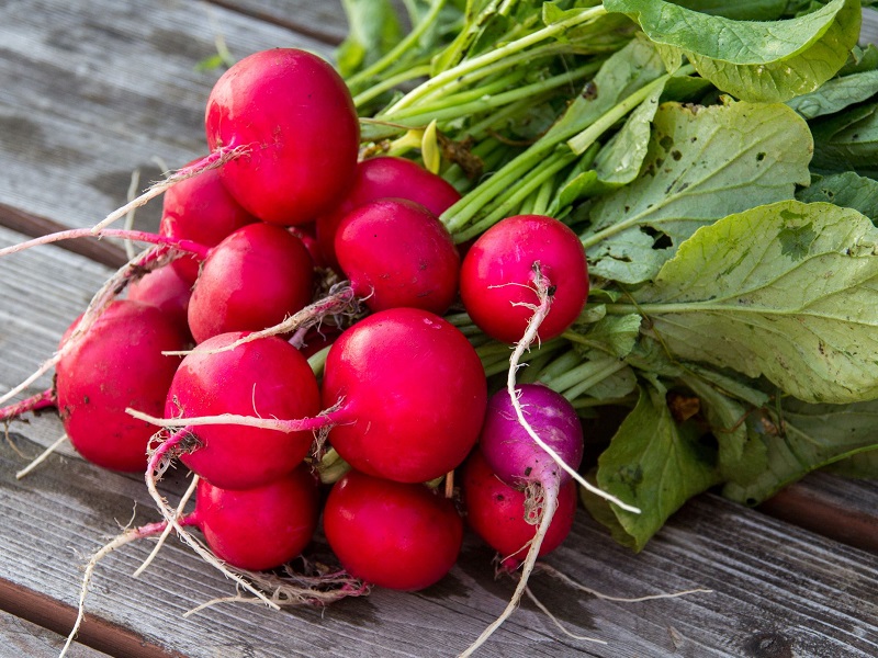 18 interessante radise -fordele (mooli) til sundhed, hår og amp; Hud
