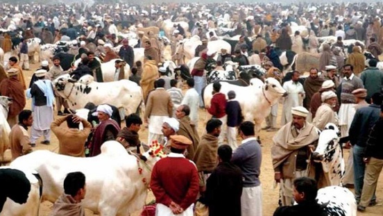 Eid ul Adha