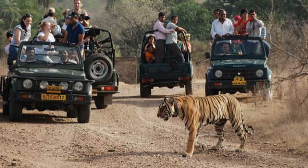 jim-corbett-national-park_nital-turist-steder