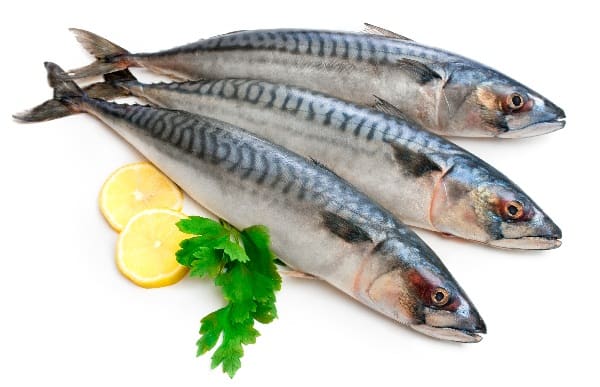 Fisk