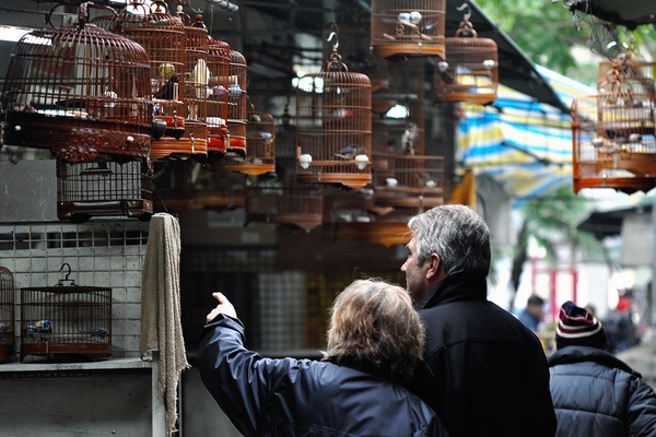 bird-garden_hong-kong-turist-steder