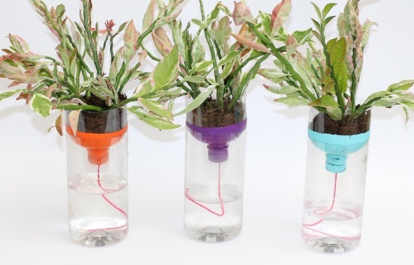 Plastic Bottle Planter Craft