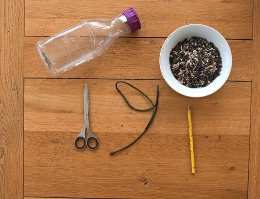Plastic Bottle Bird Feeder Craft