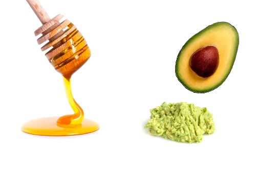 Avocado og honning