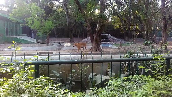 botaniske haver i indien