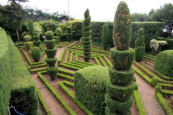 Chandigarh botaniske have