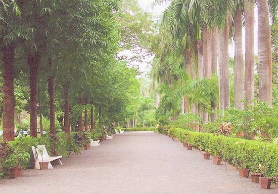 Botanisk Have Waghai