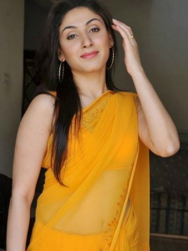 Pandzsábi sárga Sari Design