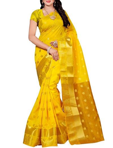 Gul Kanjivaram Saree