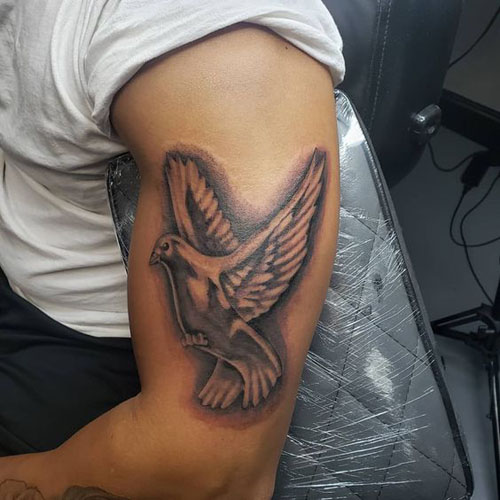 Smukke Dove Tattoo Designs 10