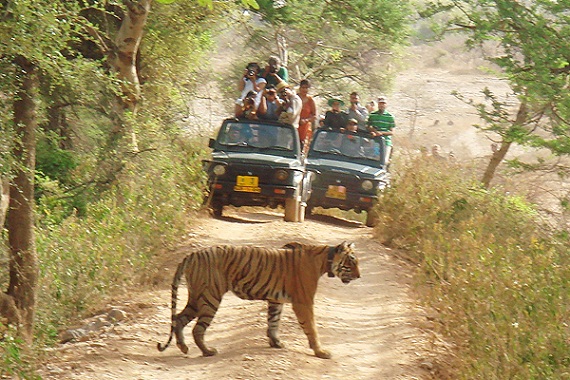 Bandhavgarh Nemzeti Park