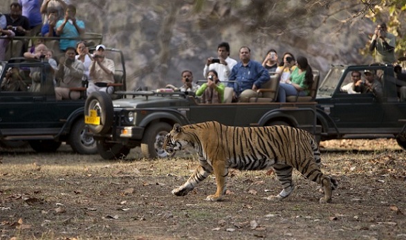 Ranthambore Nemzeti Park