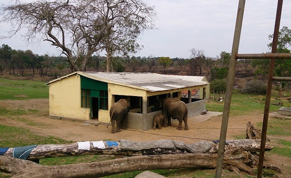 naturreservater i indien