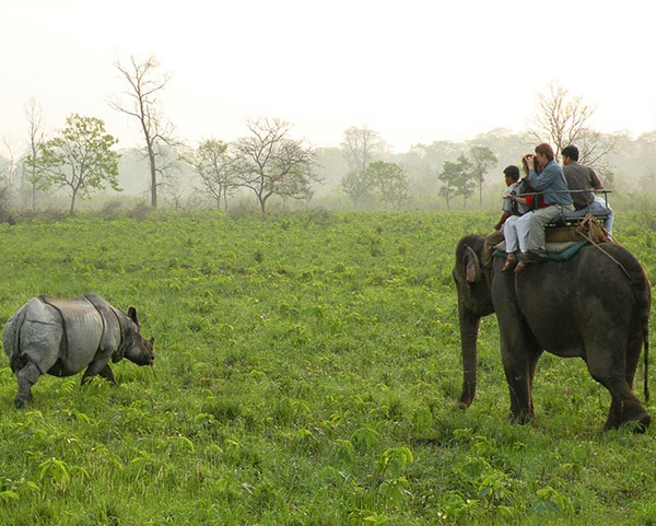 Jaldapara Nationalpark