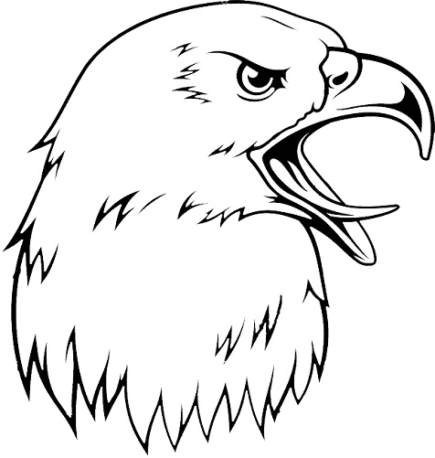 Eagle Head Tattoo Designs