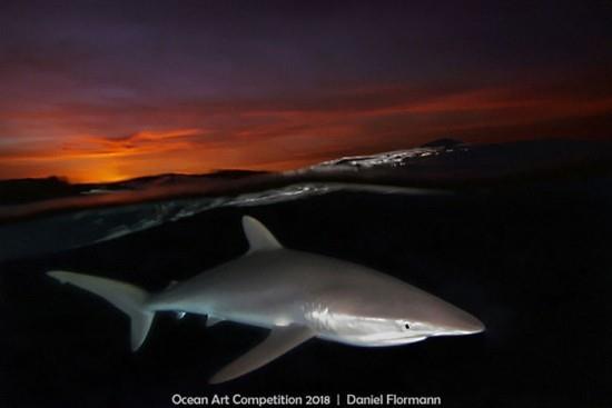 2018 Ocean Art Contest 6. sija Daniel Flormann 