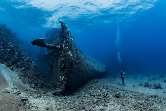 2018 Ocean Art Contest Fabrice Dudenhofer 