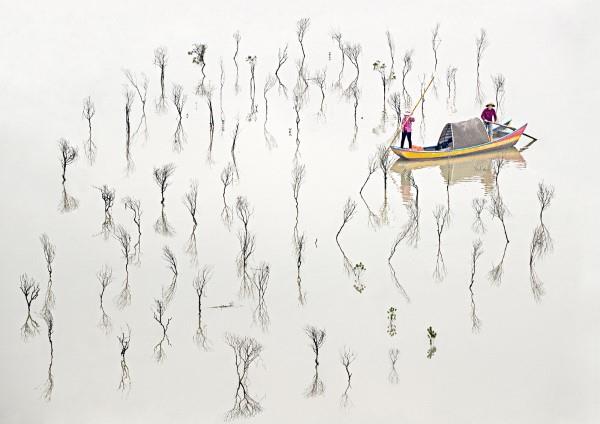 2020 Tokion kansainväliset valokuvapalkinnot - 20 parhaan vuoden voittanutta valokuvaa mangrovemetsästäjiltä