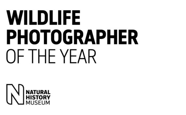 2020 Wildlife Photographer of the Year -logomuseo Lontoo