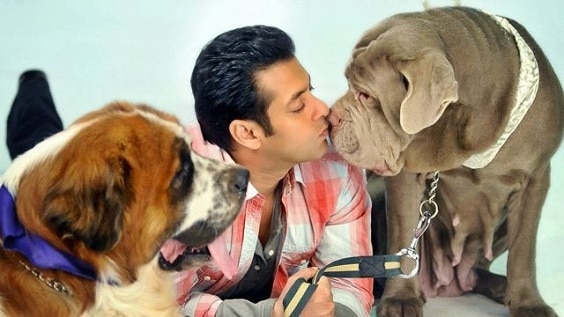 salman khan hunde