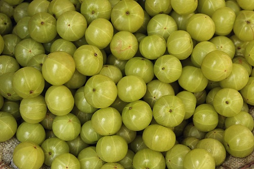 Amla