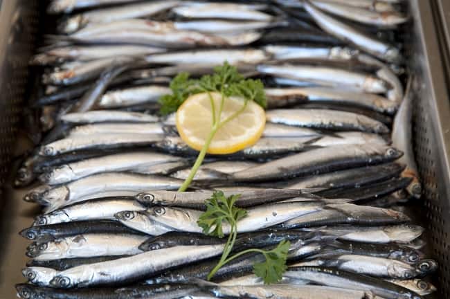 rig kilde til omega 3
