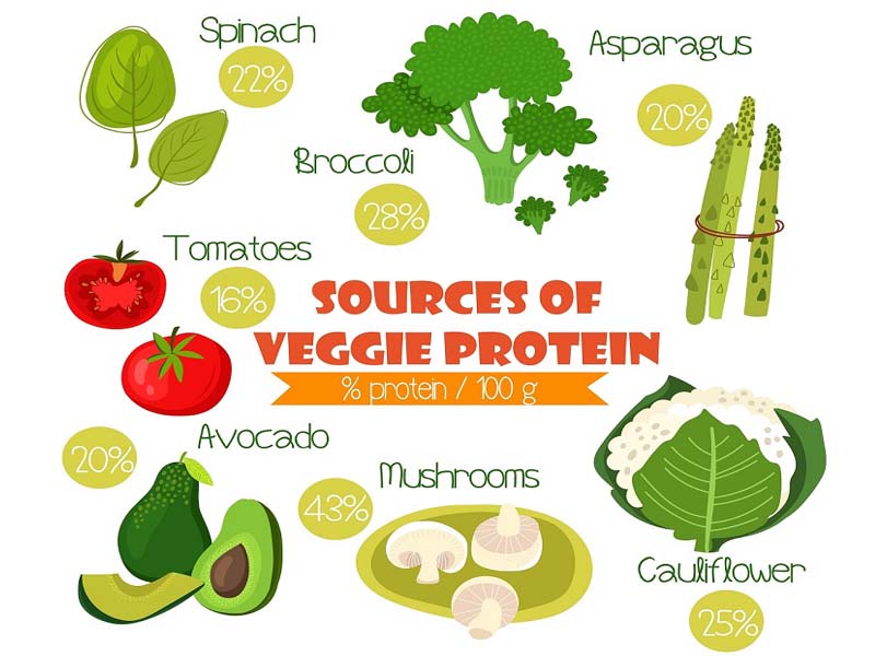 Vegetarisk proteinfødevareliste tilgængelig i Indien