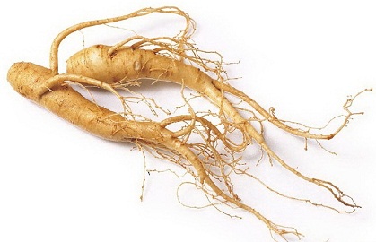 Ginseng til vægttab naturligvis