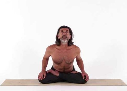 Bhujangini Mudra Yoga