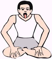 Simha Mudra Fordele