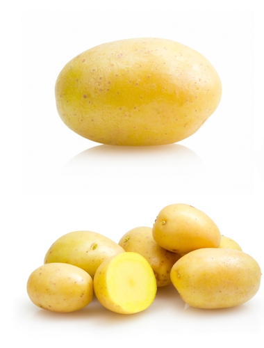 potatto használja