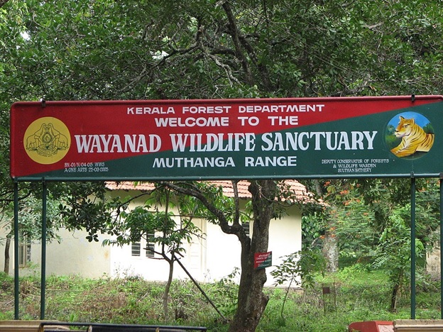 Wayanad Wildlife Sanctuary