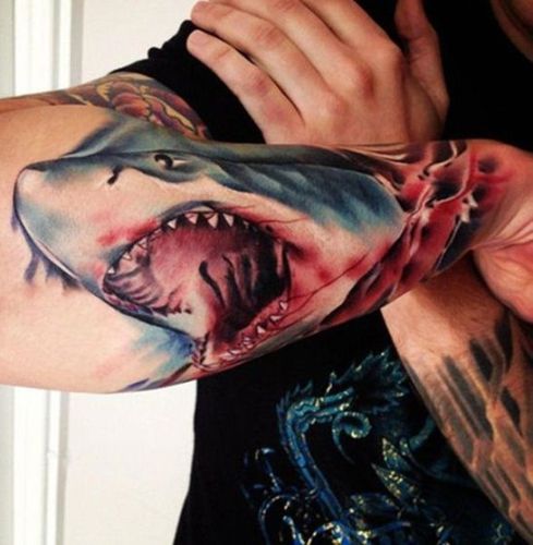 Hajhovedet tatovering på armen