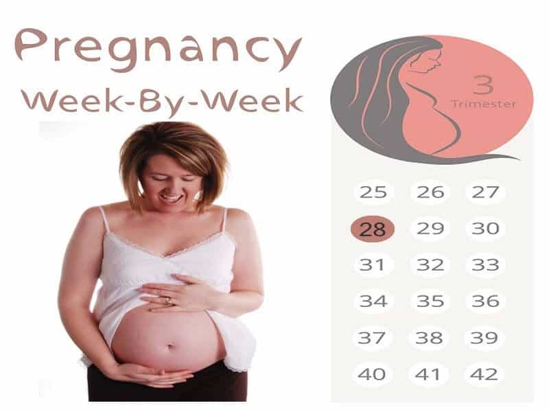 28 uger gravid