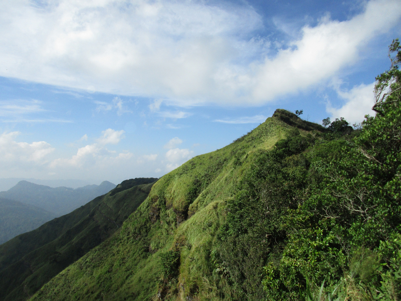 Thenzawl, Mizoram