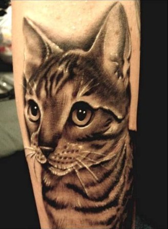 kat dyr tatovering