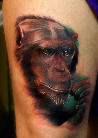 Chimpanse dyr tatoveringer