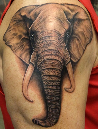 Elefant dyr tatovering