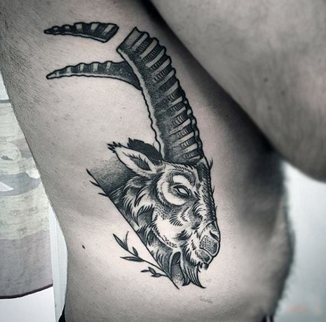 Buck Animal Tattoo