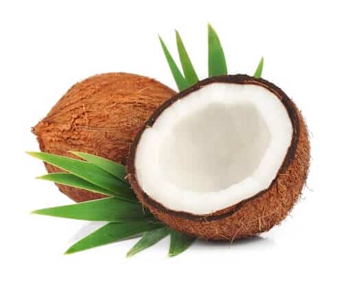 kokos - vægttab