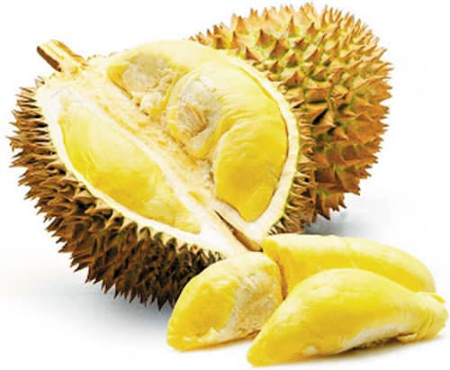 Durian reducerer vægten
