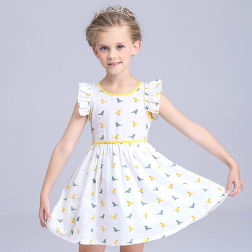 Sparrow Cotton Frock