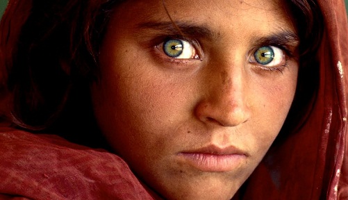 Sharbat Gula szeme