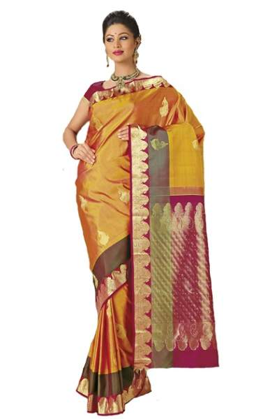 Den innovative Kanchipuram Saree