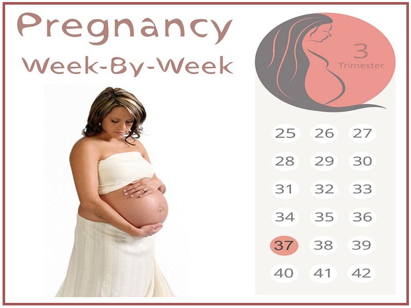 A terhesség 37. hete