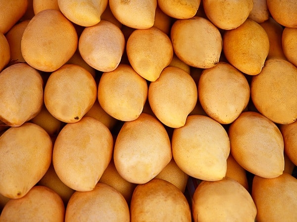Sok lédús finom mangó eladó