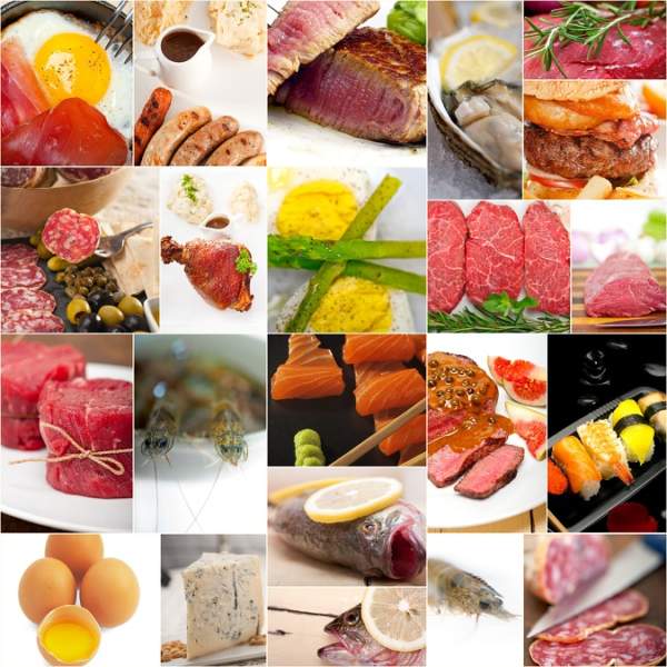 højt proteinindhold