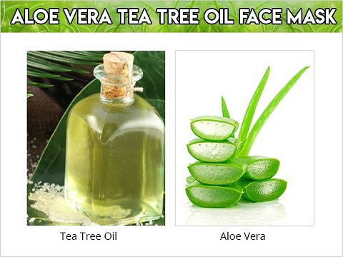 Aloe Vera og Tea Tree Oil Face Mask